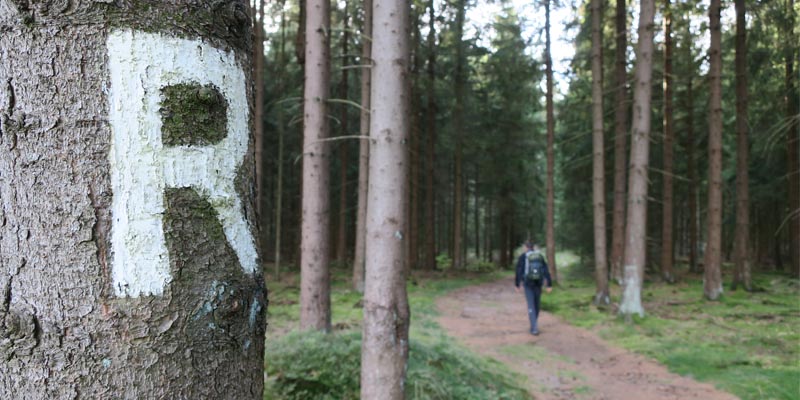 Rennsteig Wandern in Thüringen: Der tiefe Fall einer Legende - burning