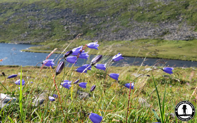 Flora Norwegen