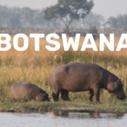 Botswana Reisebericht